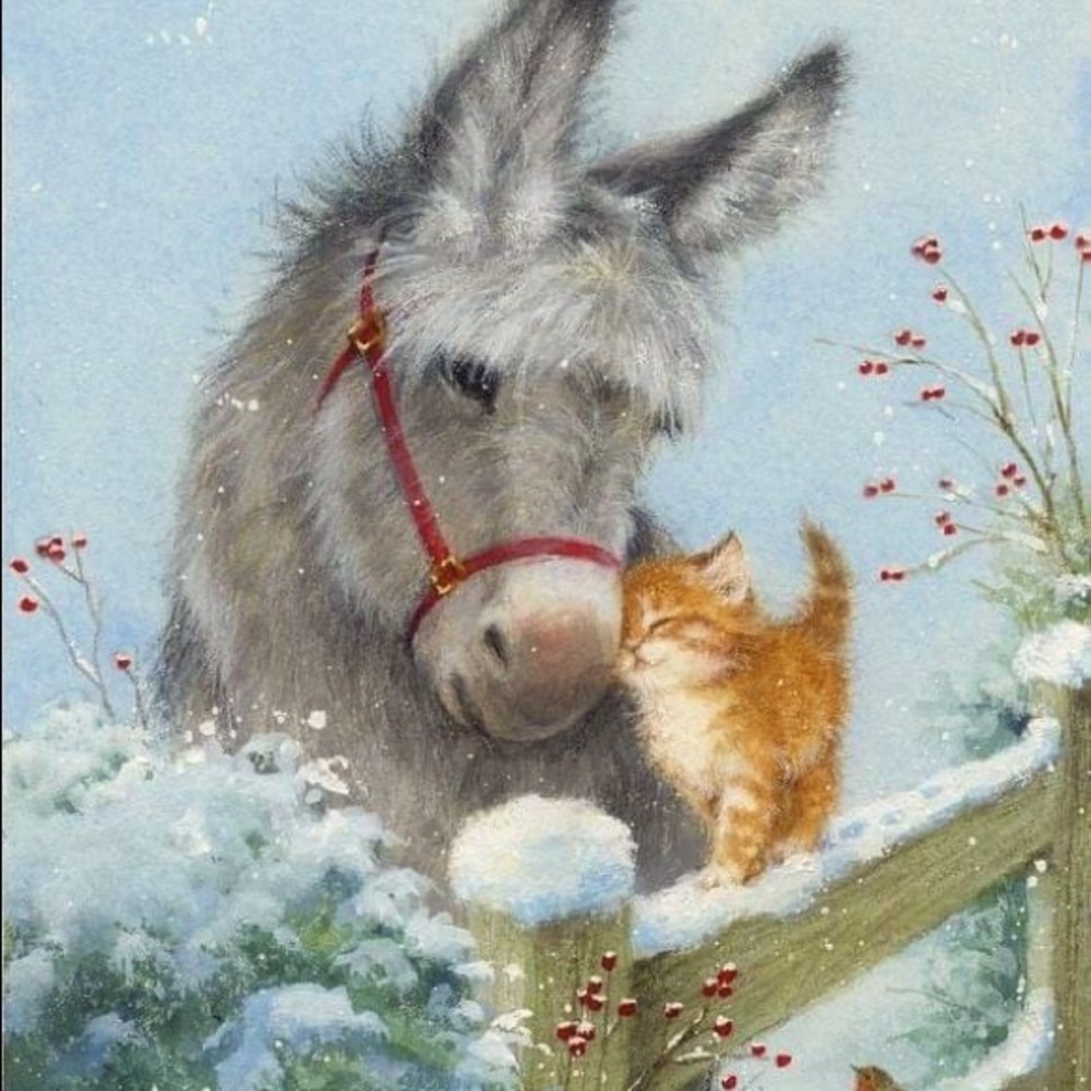 Meet your Posher, Dawn